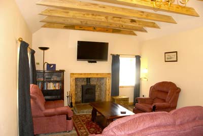 Cosy lounge with large screen television and multi-fuel stove